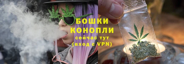 mdpv Бородино