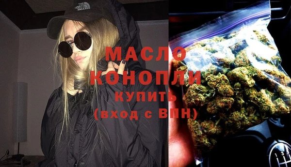 гашик Верея