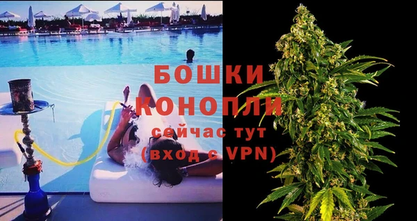mdpv Бородино