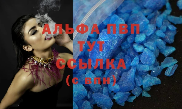 гашик Верея
