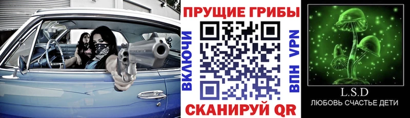 Псилоцибиновые грибы прущие грибы  блэк спрут ссылки  Джанкой 